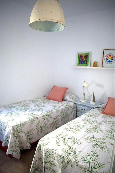 Espectacular Casa Muy Luminosa Con Azotea Apartment Conil De La Frontera Exterior photo